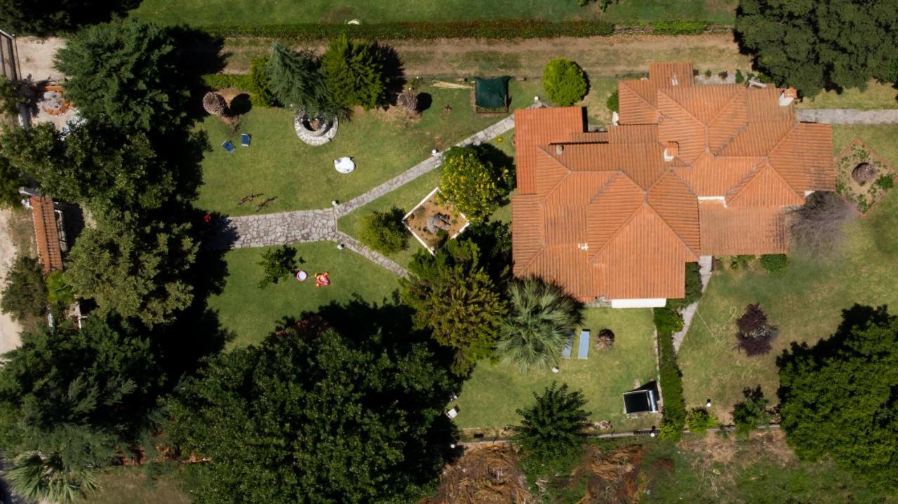 Villa Palmera Ierissós Luaran gambar